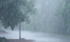यो वर्षको मनसुनमा सुदूरपश्चिम र मध्य नेपालमा तीव्र वर्षाको सम्भावना