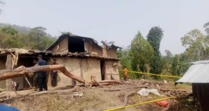 डडेल्धुरामा घरमाथि रूख ढल्दा एक महिलाको मृत्यु