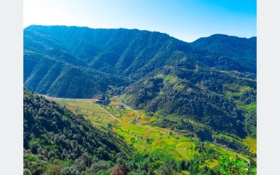 सुदूर पहाडबाट वन्यजन्तुका डरले बढ्दैछ बसाइँसराइ