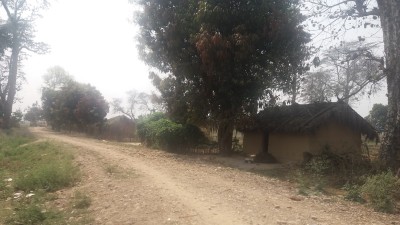 मुक्तिको २५ वर्षसम्म मुक्तकमैयाको अवस्था उस्तै