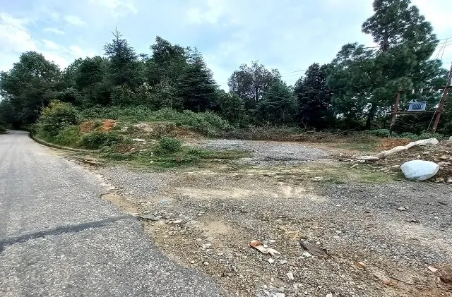 डडेल्धुराको डकलेमा बसपार्क निर्माणका लागि बाटो खुल्यो, रुख कटान सुरू